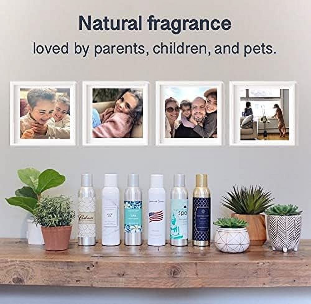 AP Fragrance Endless Ocean Air Freshener Spray – Concentrated Room Deodorizer 6 fl oz.