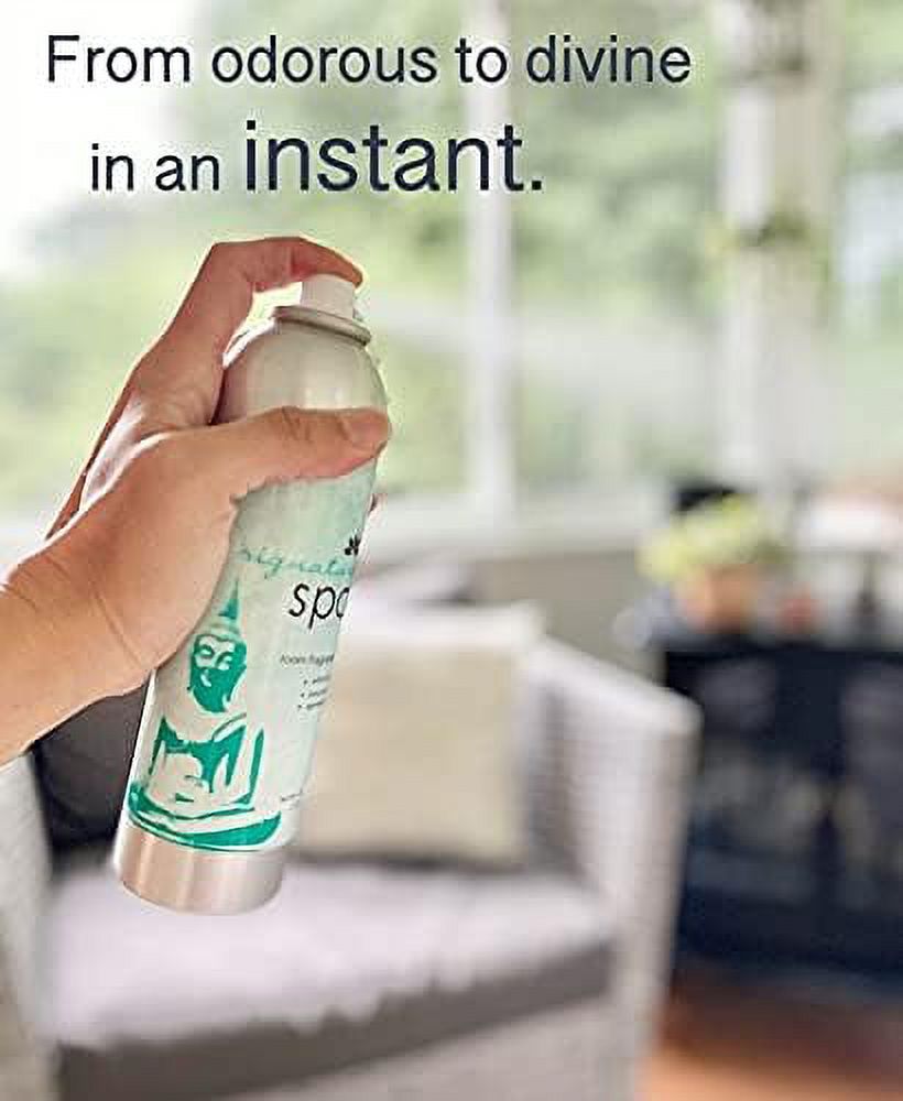AP Fragrance Sea Salt Room Fragrance Air Freshener Spray Concentrated Deodorizer, 6 fl oz.