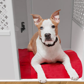 Palram Pets Niko Dog Crate for Medium Dogs, Furniture Style Dog Cage
